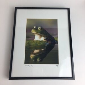 Sean Thompson Reflecting Frog Fine Art Nature Photography Matted Framed 8x10